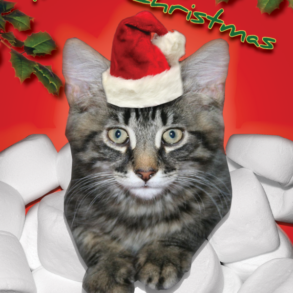 Christmas-Card