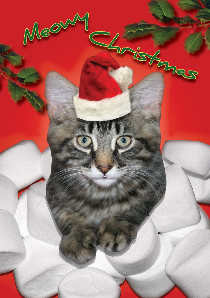 Christmas-Card